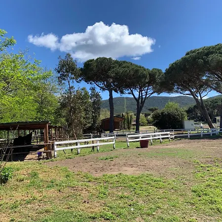 La Casa Delle Stelle Διαμέρισμα Tirli (Grosseto)