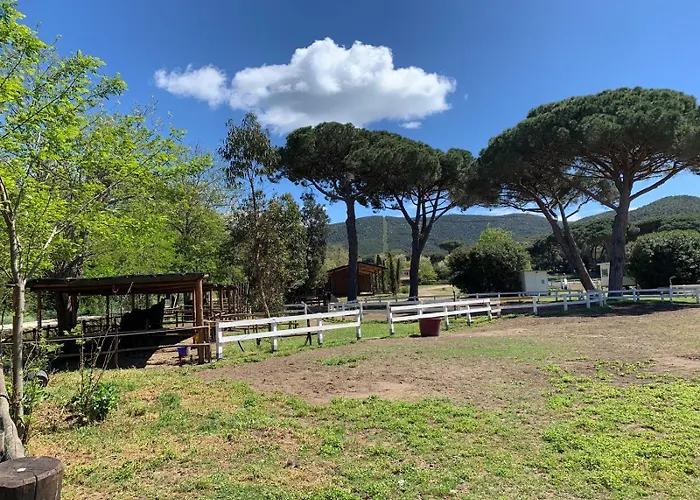 La Casa Delle Stelle Lejlighed Tirli (Grosseto)
